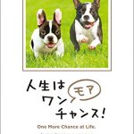 人生はワンモアチャンス！- 「仕事」も「遊び」もさらに楽しくなる66の方法 人生は～シリーズ